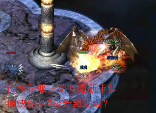 ����˽�����˻�ͨ������ο��ٴ�0������������