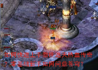 ��ο������ְ���������Ѫ���棿�������������ʶ���񷣿