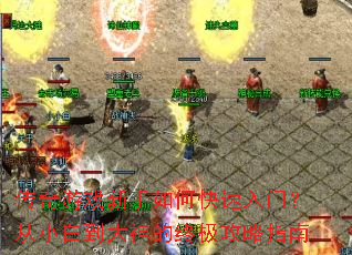 ������Ϸ������ο������ţ���С�׵�������ռ�����ָ��