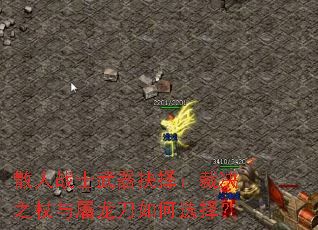 ɢ��սʿ�������񣺲þ�֮�������������ѡ��