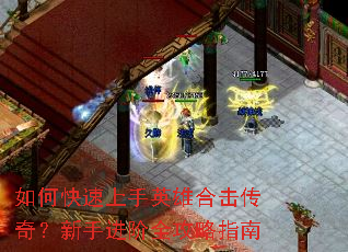 ��ο�������Ӣ�ۺϻ����棿���ֽ���ȫ����ָ��