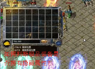 ����жϼ�Ʒװ���Ƿ�ӵ���������ԣ�