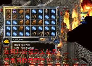 ����жϼ�Ʒװ���Ƿ�ӵ���������ԣ�