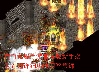 ����˽�����ιٷ������ֱؿ�������ϸ�����ʴ𼯽�