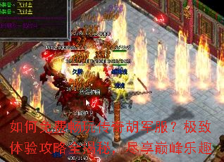 �����ѳ��洫����������������鹥��ȫ���أ������۷���Ȥ