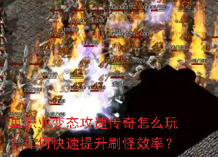 ��ְҵ��̬���ٴ�����ô�棿��ο�������ˢ��Ч�ʣ�