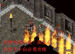 如何快速升级?御龙在天新手小白必看攻略 如何快速升级?御龙在天新手小白必看攻略