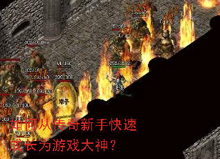��δӴ������ֿ��ٳɳ�Ϊ��Ϸ����