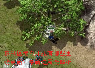 东兴区传奇开服有哪些重磅更新?最新进展全解析 东兴区传奇开服有哪些重磅更新?最新进展全解析