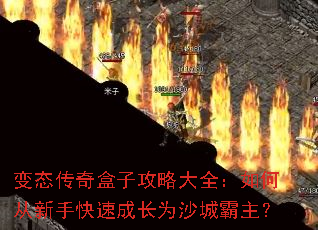 ��̬������ӹ��Դ�ȫ����δ����ֿ��ٳɳ�Ϊɳ�ǰ�����