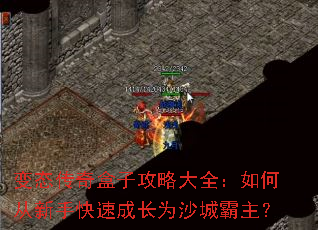 ��̬������ӹ��Դ�ȫ����δ����ֿ��ٳɳ�Ϊɳ�ǰ�����