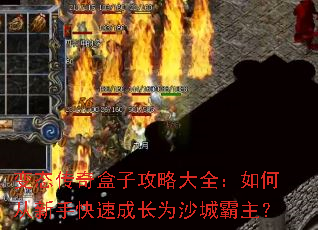 ��̬������ӹ��Դ�ȫ����δ����ֿ��ٳɳ�Ϊɳ�ǰ�����