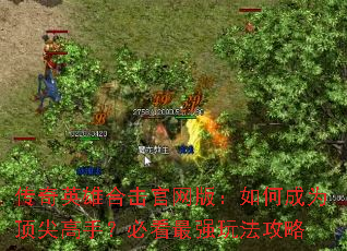 ����Ӣ�ۺϻ������棺��γ�Ϊ������֣��ؿ���ǿ�淨����