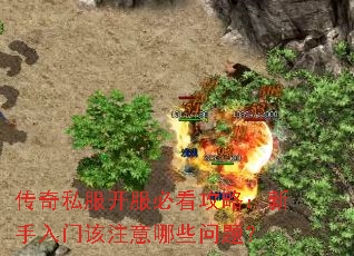 传奇私服开服必看攻略:新手入门该注意哪些问题? 传奇私服开服必看攻略:新手入门该注意哪些问题?