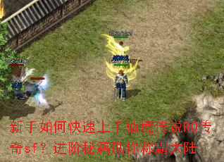 新手如何快速上手仙境传说RO传奇sf?进阶秘籍助你称霸大陆 新手如何快速上手仙境传说RO传奇sf?进阶秘籍助你称霸大陆