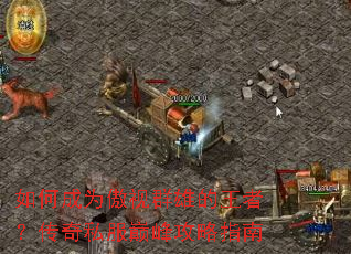 ��γ�Ϊ����Ⱥ�۵����ߣ�����˽���۷幥��ָ��