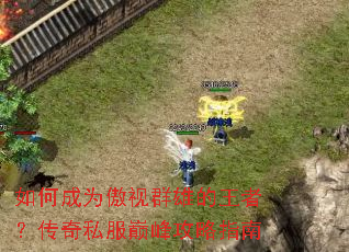 ��γ�Ϊ����Ⱥ�۵����ߣ�����˽���۷幥��ָ��