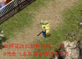 如何征战仙踪林秘径?1.80传奇飞龙高爆率攻略大公开 如何征战仙踪林秘径?1.80传奇飞龙高爆率攻略大公开