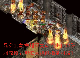 兄弟们急需超级变态合击传奇私服攻略?哪位大神能指条明路? 兄弟们急需超级变态合击传奇私服攻略?哪位大神能指条明路?