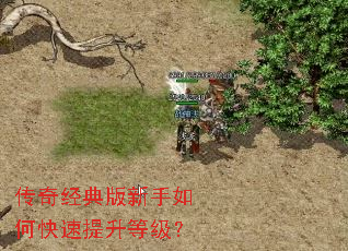 传奇经典版新手如何快速提升等级? 传奇经典版新手如何快速提升等级?