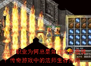 ��ʦְҵΪ�����������˱��ߣ�������Ϸ�еķ�ʦ����ָ��