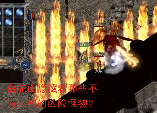 ����ɽ��������Щ��Ϊ��֪�����չ��
