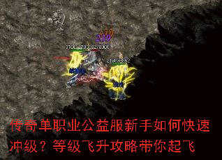���浥ְҵ�����������ο��ٳ弶���ȼ��������Դ������