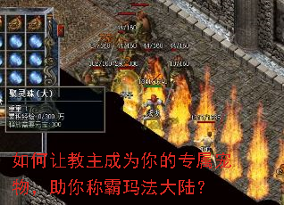 如何让教主成为你的专属宠物,助你称霸玛法大陆? 如何让教主成为你的专属宠物,助你称霸玛法大陆?