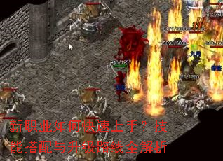 新职业如何快速上手?技能搭配与升级路线全解析 新职业如何快速上手?技能搭配与升级路线全解析