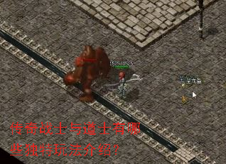 传奇战士与道士有哪些独特玩法介绍? 传奇战士与道士有哪些独特玩法介绍?