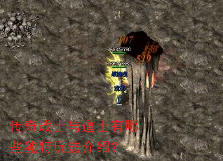 传奇战士与道士有哪些独特玩法介绍? 传奇战士与道士有哪些独特玩法介绍?
