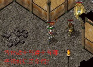 传奇战士与道士有哪些独特玩法介绍? 传奇战士与道士有哪些独特玩法介绍?