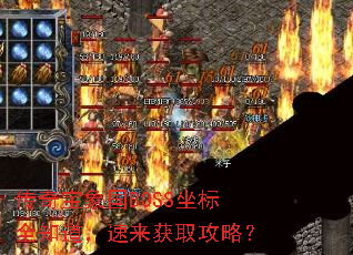 传奇宝象国BOSS坐标全知道,速来获取攻略? 传奇宝象国BOSS坐标全知道,速来获取攻略?