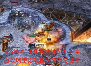 ������������ο����𲽣�ȫ�湥�Դ������ɴ�����������