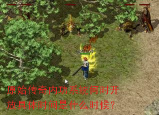 原始传奇内功系统何时开放具体时间是什么时候? 原始传奇内功系统何时开放具体时间是什么时候?