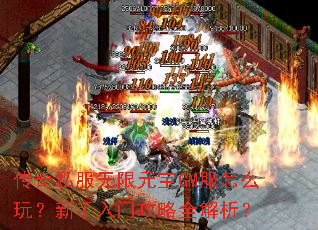 ����˽������Ԫ��GM����ô�棿�������Ź���ȫ������