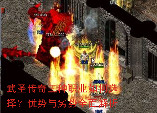 ��ʥ��������ְҵ���ѡ������������ȫ�����