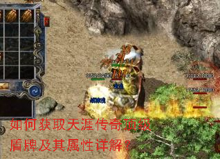如何获取天涯传奇顶级盾牌及其属性详解? 如何获取天涯传奇顶级盾牌及其属性详解?