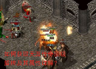 如何获取天涯传奇顶级盾牌及其属性详解? 如何获取天涯传奇顶级盾牌及其属性详解?