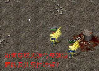 如何获取天涯传奇顶级盾牌及其属性详解? 如何获取天涯传奇顶级盾牌及其属性详解?