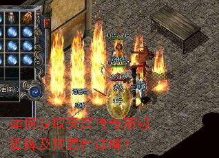如何获取天涯传奇顶级盾牌及其属性详解? 如何获取天涯传奇顶级盾牌及其属性详解?