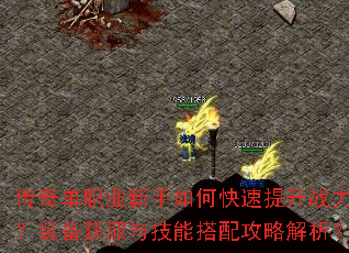 ���浥ְҵ������ο�������ս����װ����ȡ�뼼�ܴ��乥�Խ�����