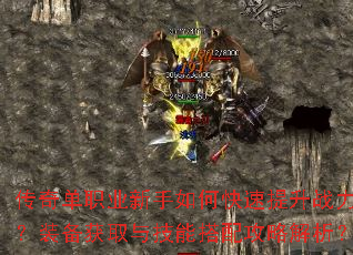 ���浥ְҵ������ο�������ս����װ����ȡ�뼼�ܴ��乥�Խ�����