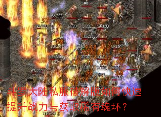 ���޴�½˽���ƽ����ο�������ս�����ȡϡ�л껷��