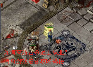 ��θ�Ч��ɱ��ʿְҵ��������Ϸ��ǿ���Խ���