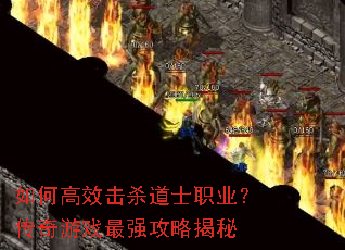 ��θ�Ч��ɱ��ʿְҵ��������Ϸ��ǿ���Խ���