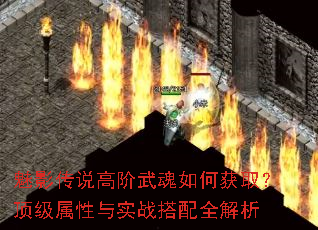 ��Ӱ��˵�߽������λ�ȡ������������ʵս����ȫ����
