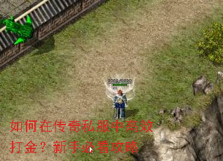 如何在传奇私服中高效打金?新手必看攻略 如何在传奇私服中高效打金?新手必看攻略