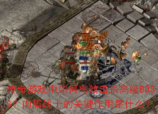 ������Ϸ����θ�Ч��ɱ�߼�BOSS�����սʿ�Ĺؼ�������ʲô��