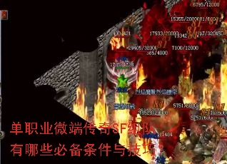 ��ְҵ΢�˴���SF�������Щ�ر������뼼�ɣ�